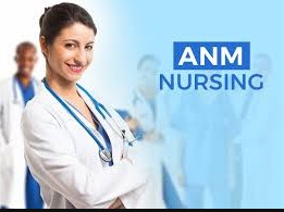 Auxiliary Nursing and Midwifery (ANM)